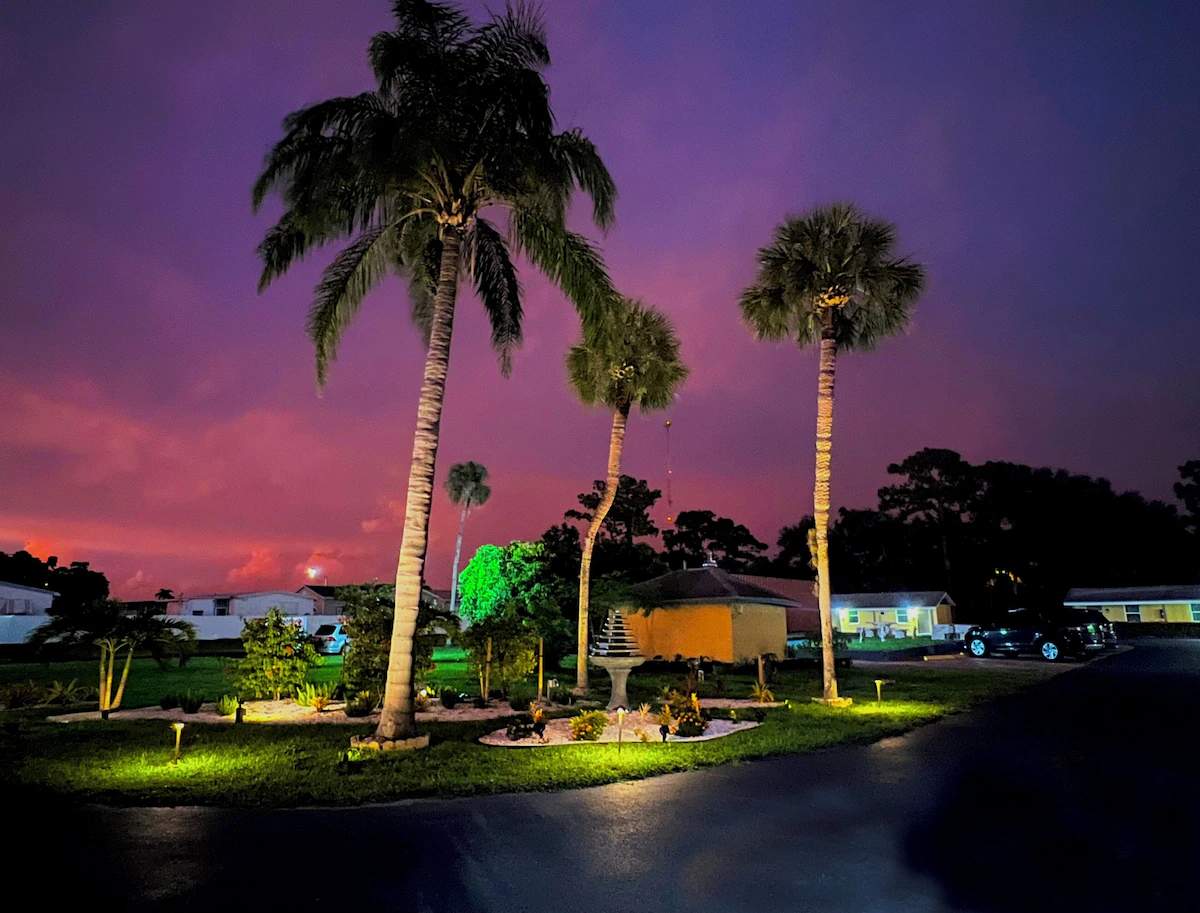 Park Motel garden at dusk